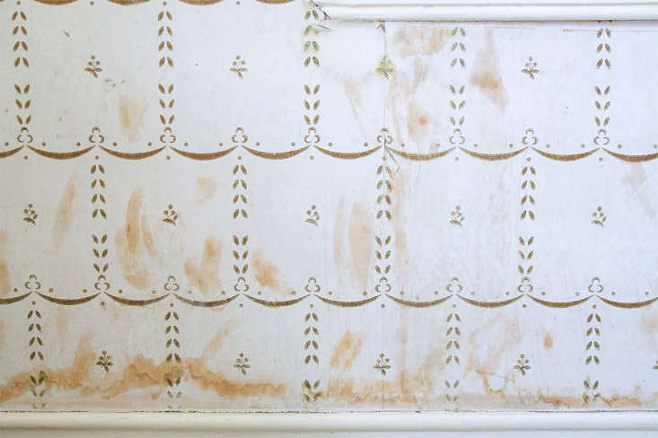 Domestic Science How To Remove Water Stains From Wallpaper Domestic Science How To Remove Water Stains From Wallpaper