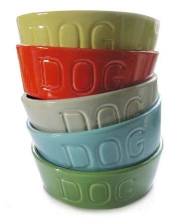 dog swallowed chicken wing bone