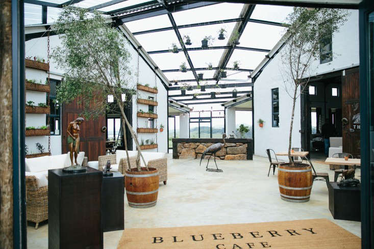 Trending on Gardenista: Growing a Kitchen Garden