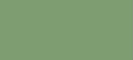 Folly Green No 76 Paint
