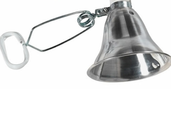 Clamp Light Clamp Light