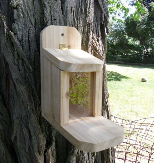 Cedar Gourmet Squirrel Feeder