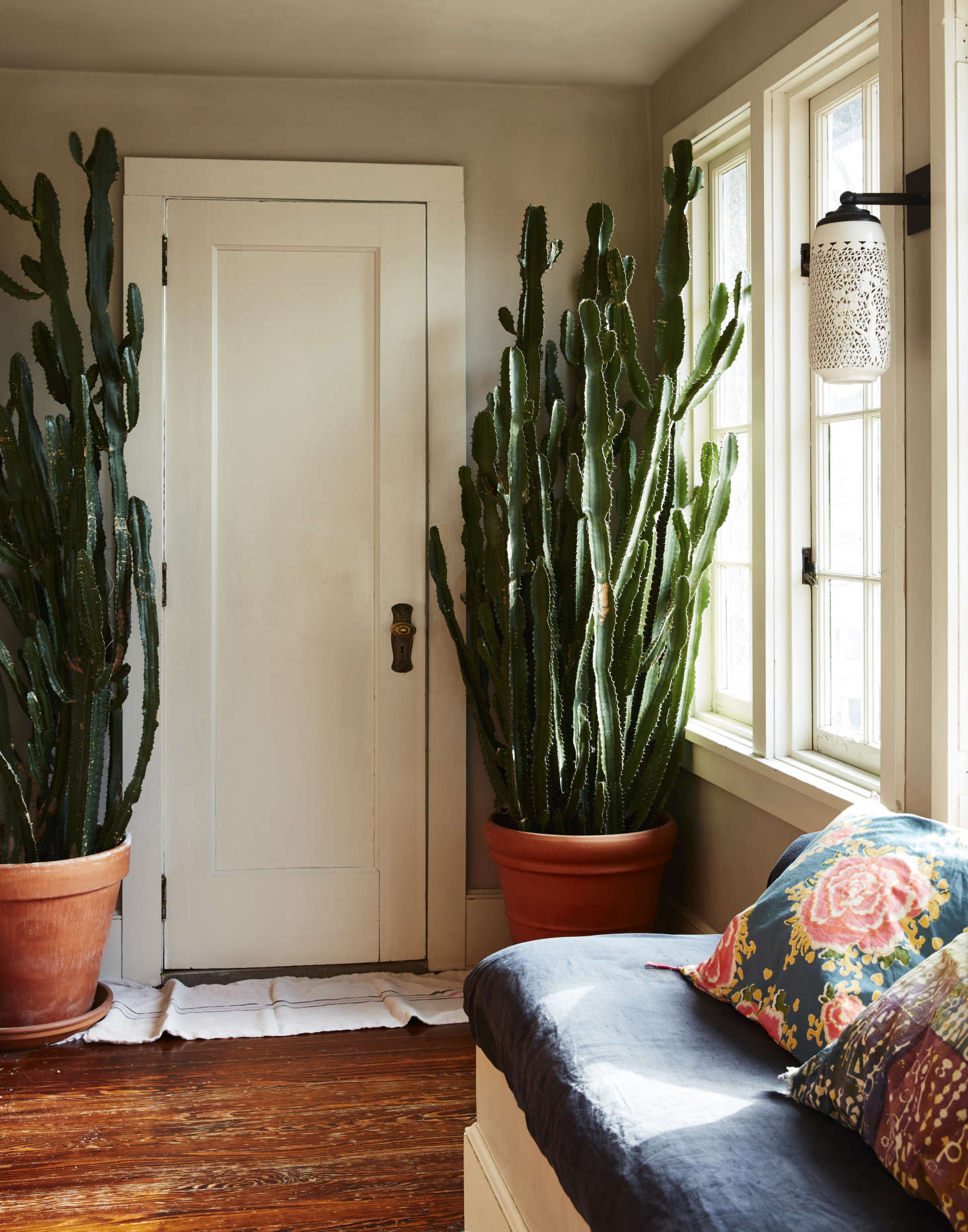 Thriving euphorbia flank the bathroom door in the sunroom. The sconce, by custom lighting studio O’Lampia, has a pierced ceramic shade from a 1970s faux Chinese chandelier. Livia sourced the window seat’s gray linen “for about $7 a yard” from Gray Line Linen in New York.