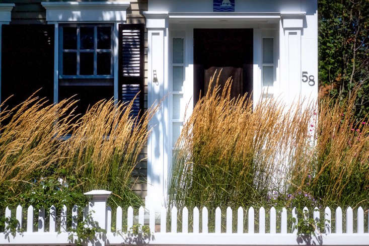 Over on Gardenista: Garden Ideas to Steal from Provincetown on Cape Cod. Photography by Justine Hand for Gardenista.