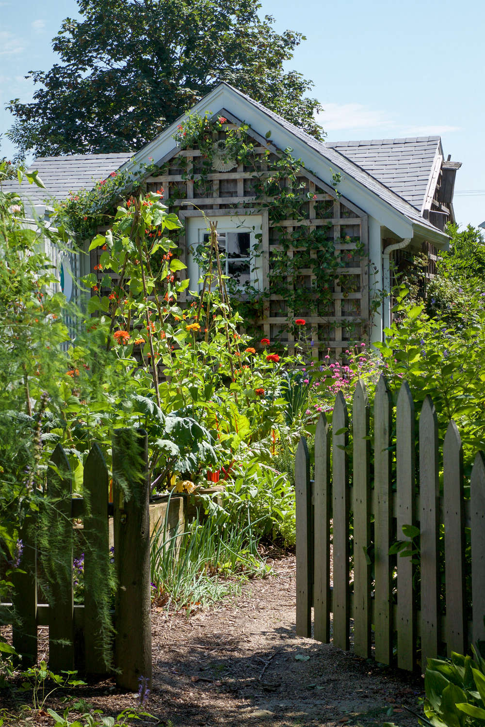 Photograph from 10 Garden Ideas to Steal from Provincetown on Cape Cod on Gardenista.