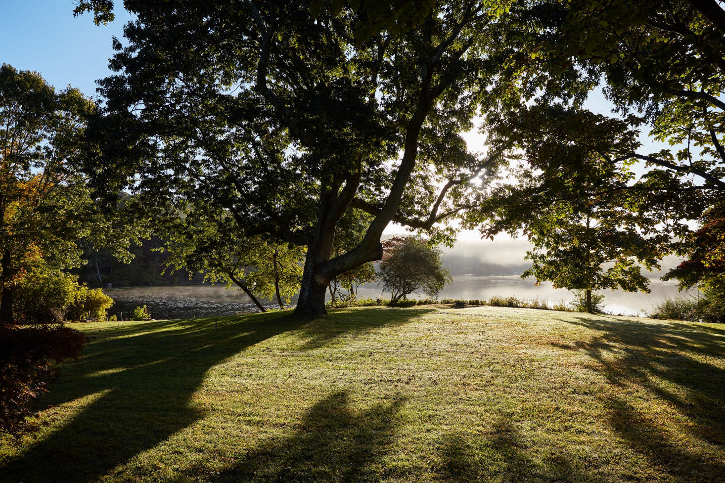 The lakeside property has ancient trees and incredible light.