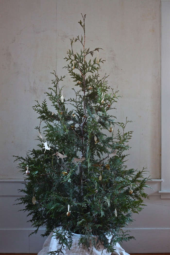 Trending On Gardenista Winter Solstice Remodelista