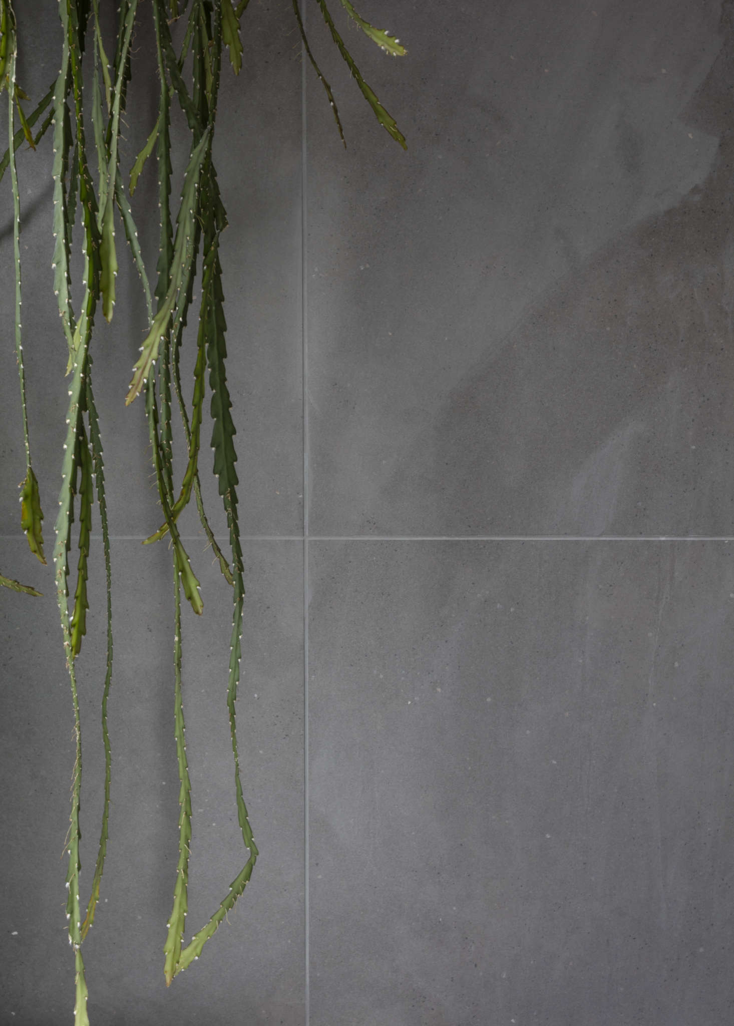 For help selecting the plants, the couple worked with garden designer Patrick Featherstone, who directed them to tropical varieties that thrive in humidity and mid- to low-level light. The results? 