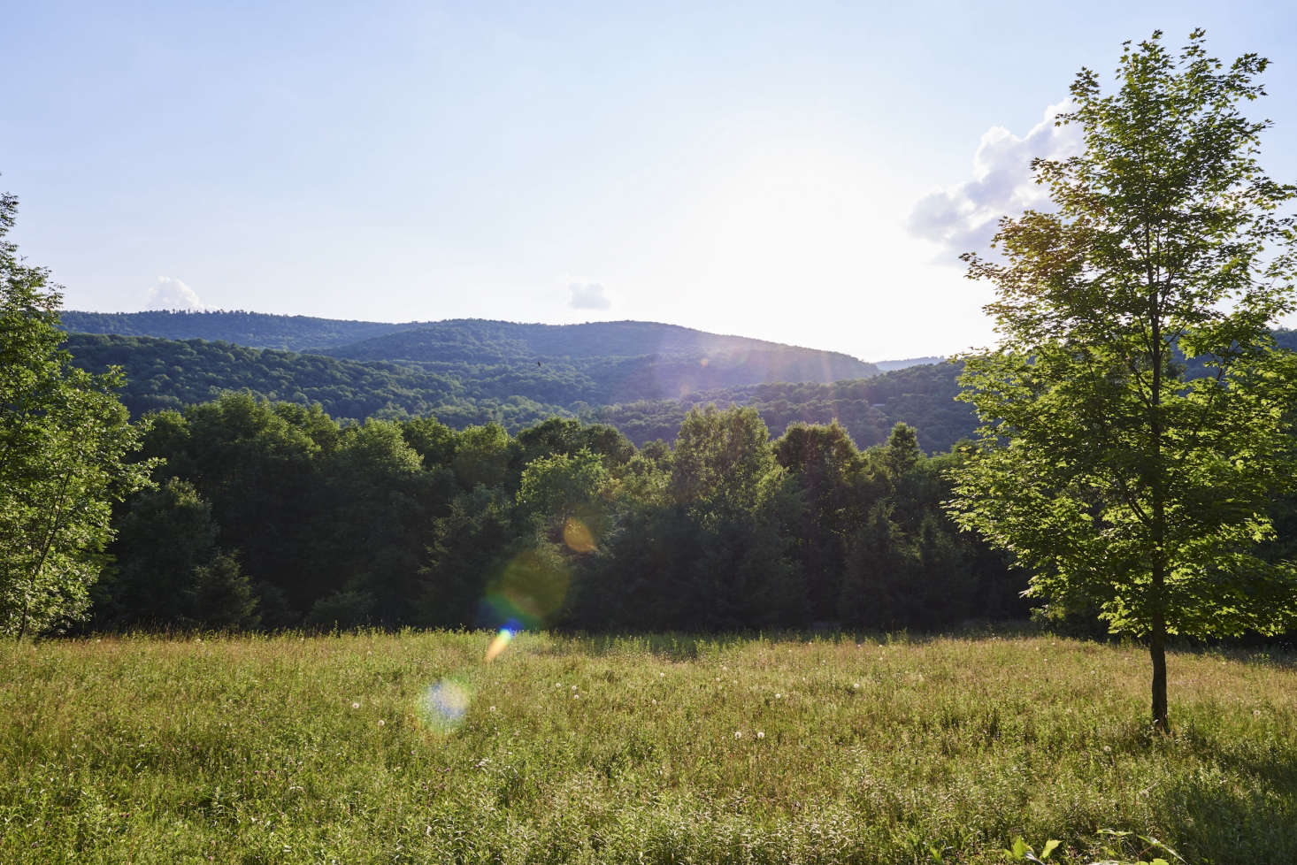 Outside the front door: “private rambling meadows,” plus a “fire pit, open skies, stars, fireflies.”