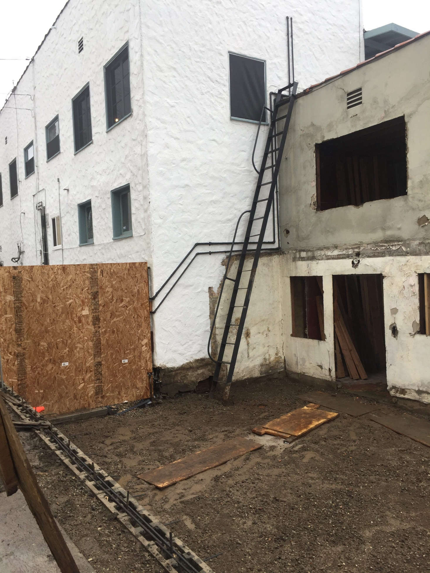 A coveted garden now lives in the once-empty back lot. Photograph courtesy of Botanica.
