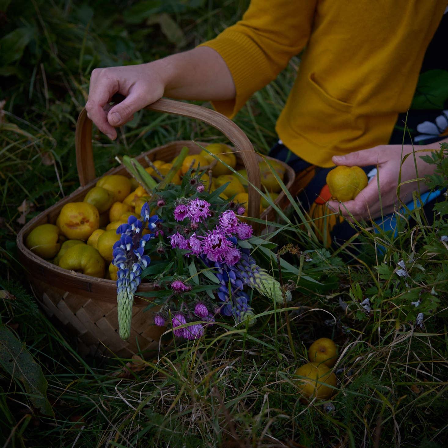 German-born Juliane Strittmatter collects flowers from her farm in Hässleholm every day from May through October and documents them, along with fruit and vegetables collected (shown here are fresh quince, on Instagram.
