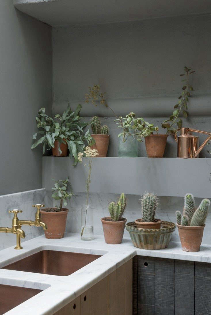 Two shelves of houseplants—mostly succulents—in a kitchen designed by deVol.