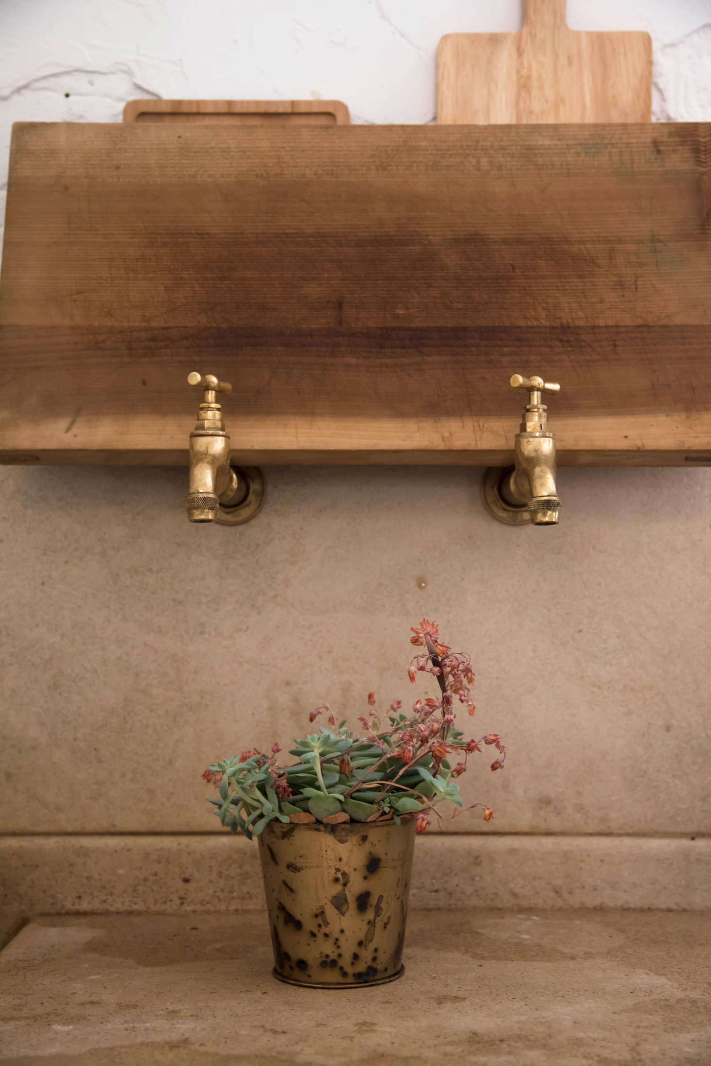 Brass spouts set into the wall water plants, and, as shown here, also serve as impromptu holders for cutting boards.