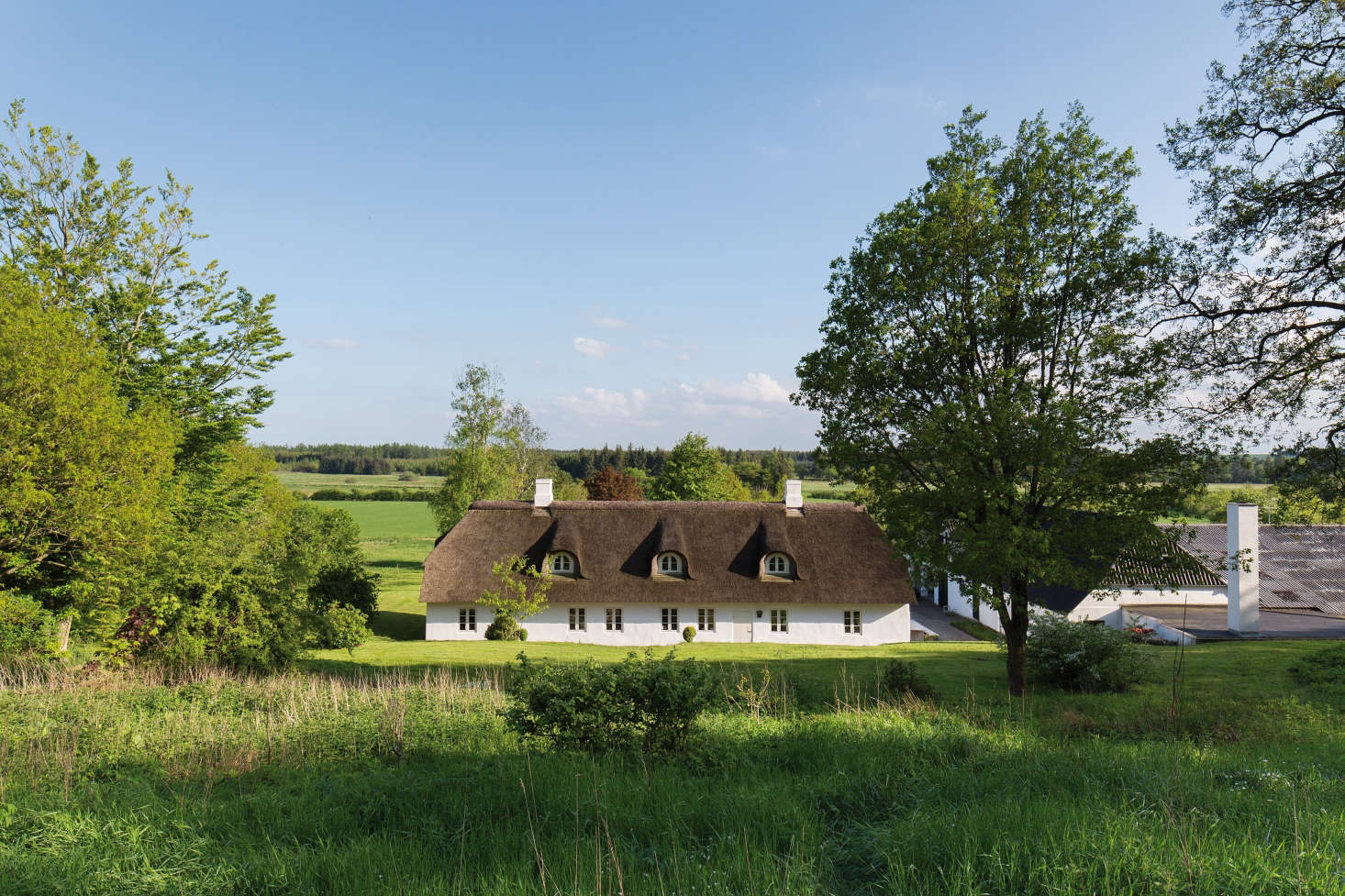 The house from the rear, with a yard extending into surrounding grasses and forest.