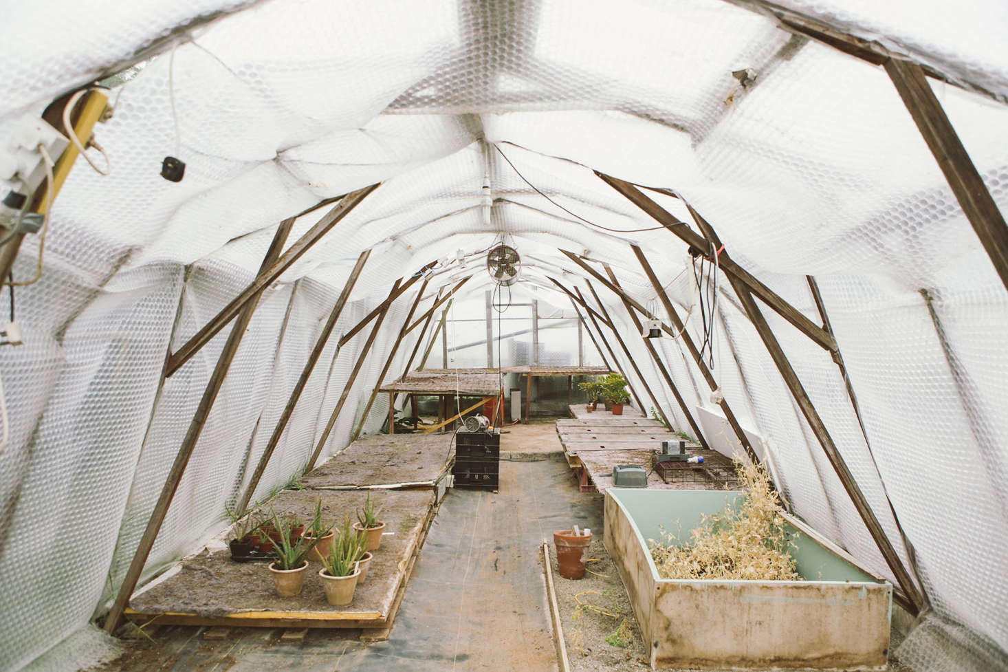 Plus, your plants need warm clothes, too. From fleece blankets to hoop houses, read more in Genius Ideas to Keep Plants Warm in Winter.