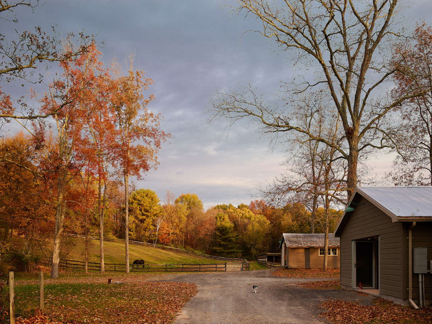 There are two barns on the property; the first barn is now the guesthouse with hay storage.