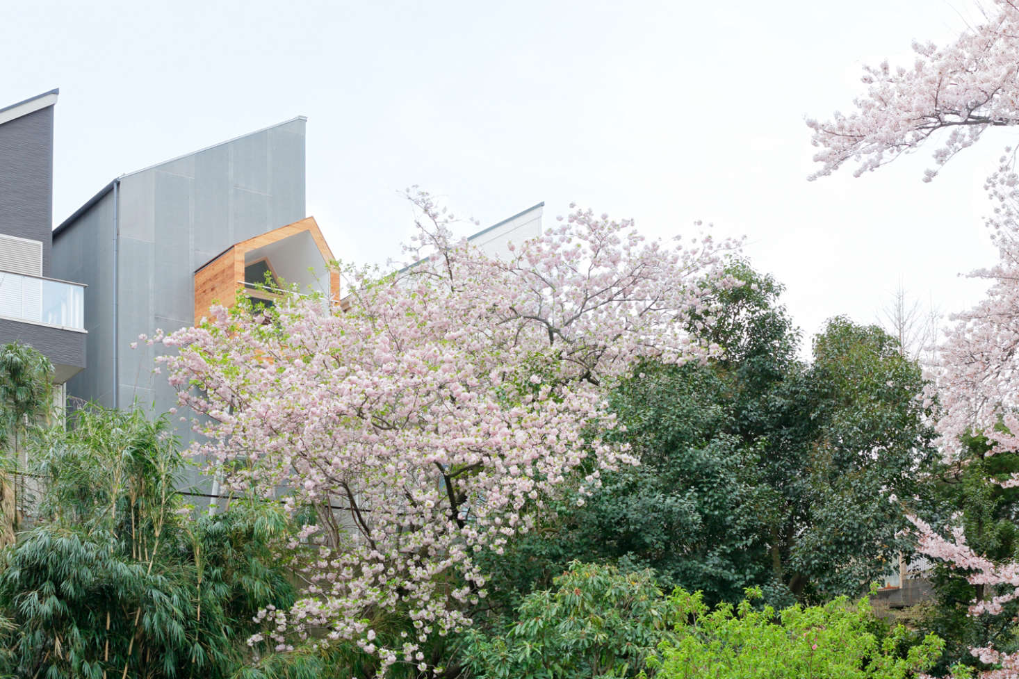 The back of the house abuts a verdant park. The structure with the wooden balcony is roughly 13 feet wide and 32 feet deep. It’s composed of fiber cement panels that No. 555 flipped so that the rough, usually hidden side is exposed.