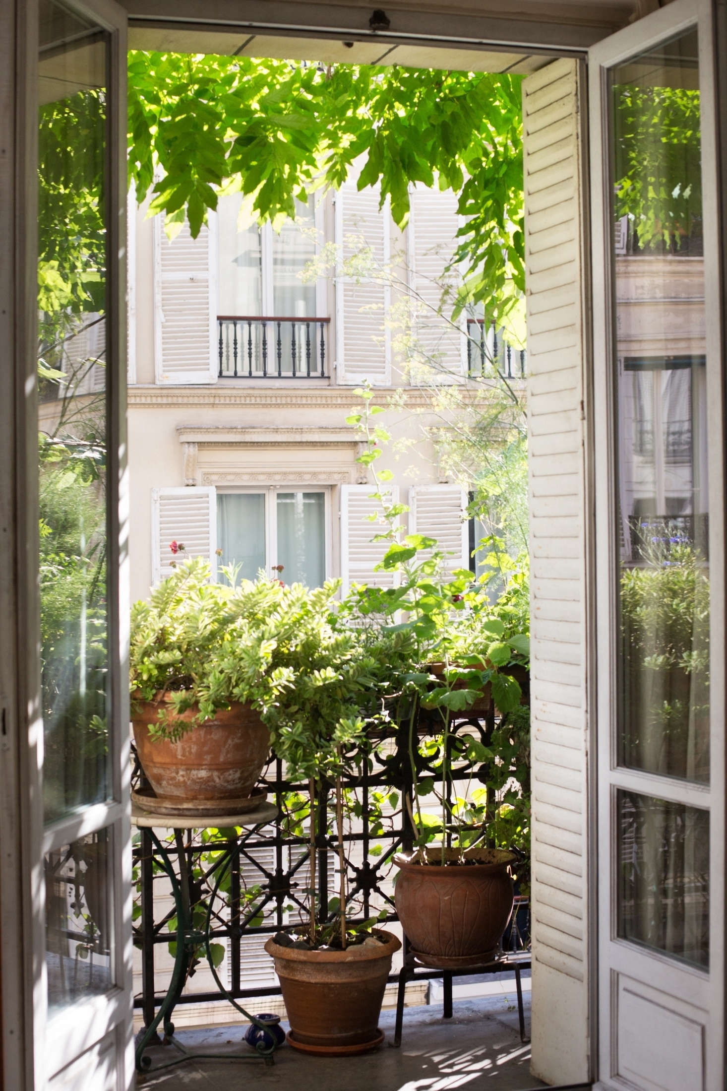 In How to Garden Like a Frenchwoman: Ideas to Steal from a Paris Balcony, the editors dropped in on actress and scriptwriter Diane Valsonne