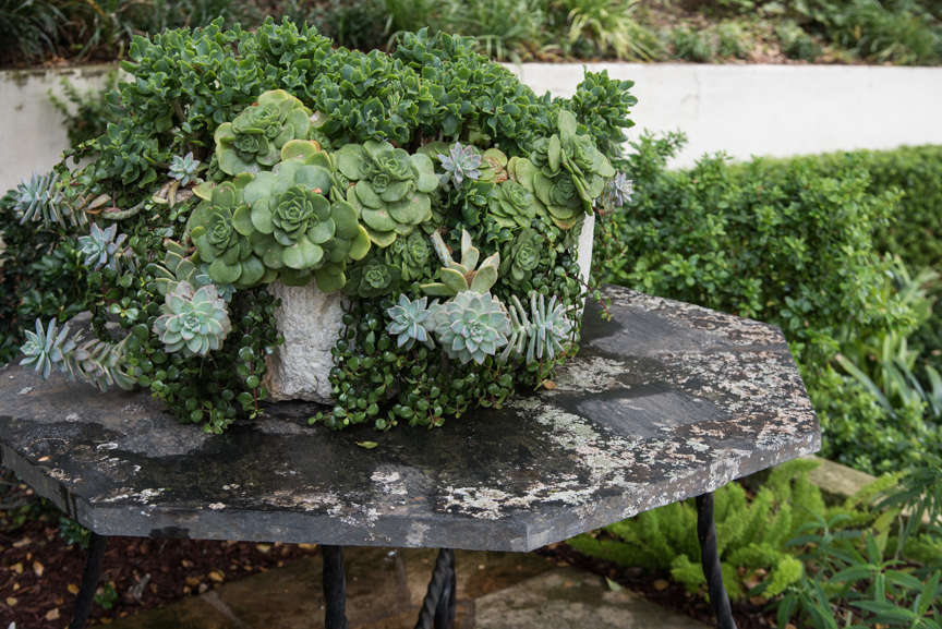 Succulents still have a few tricks up their sleeves, but the Gardenista editors are letting us in on a few insider secrets in Things Nobody Tells You About Succulents. Photograph by Roe Anne White and Bill Dewey.