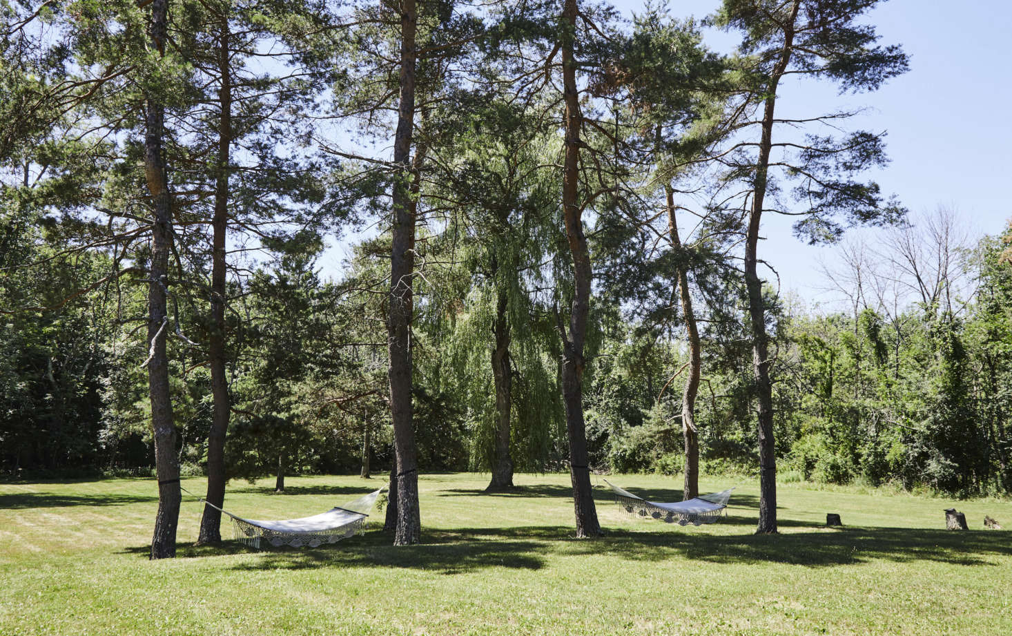 Get your hammock here: There are four acres of shady lawn. A new event space will be coming in .