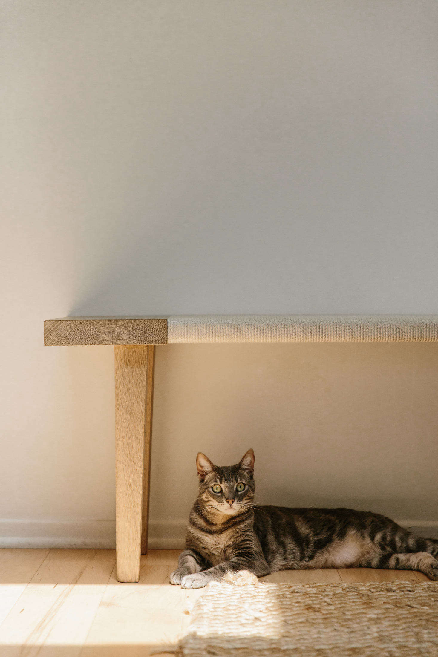 Made In La A New Pared Back Furniture Collection From Jenni Kayne The Oak Day Bench In Tiny 300 Square Foot Venice California