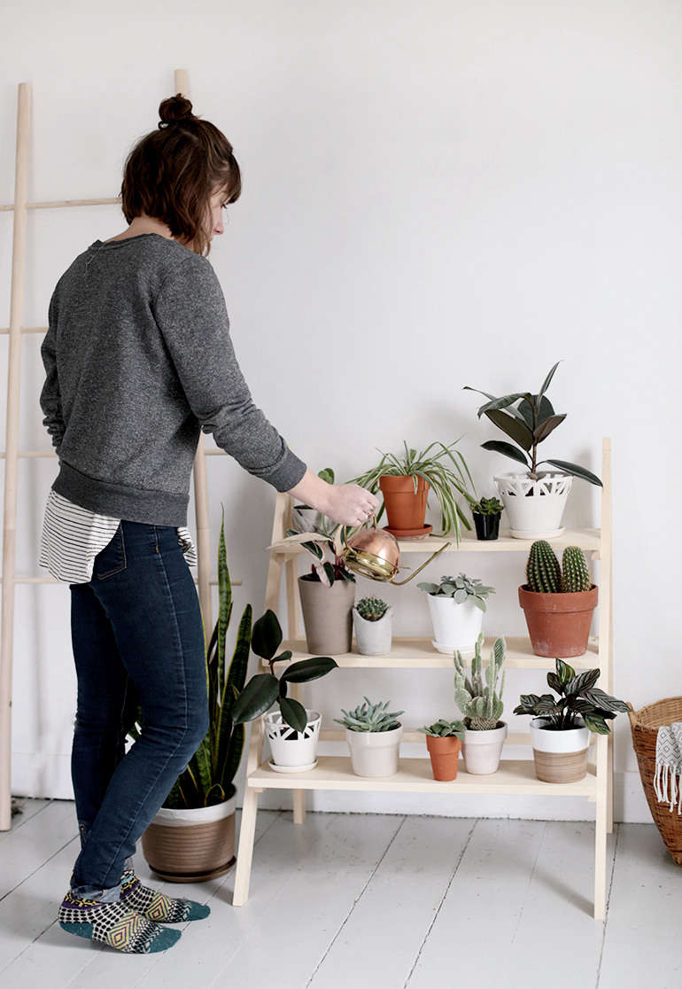 In response to Caitlin’s growing indoor plant collection, a DIY Ladder Plant Stand.