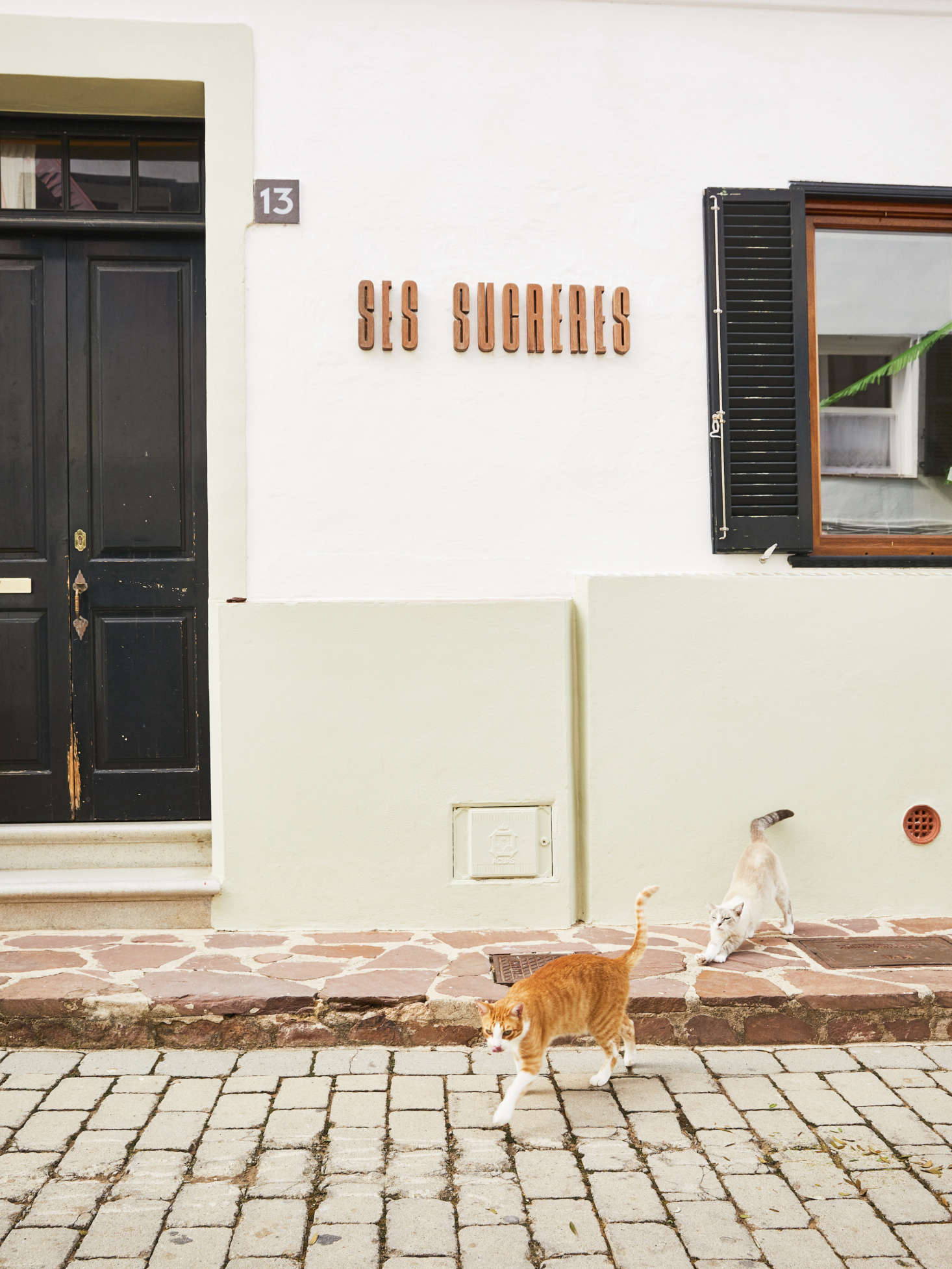 This is Mishima and Jazmín, the two cats of Ses Sucreres.