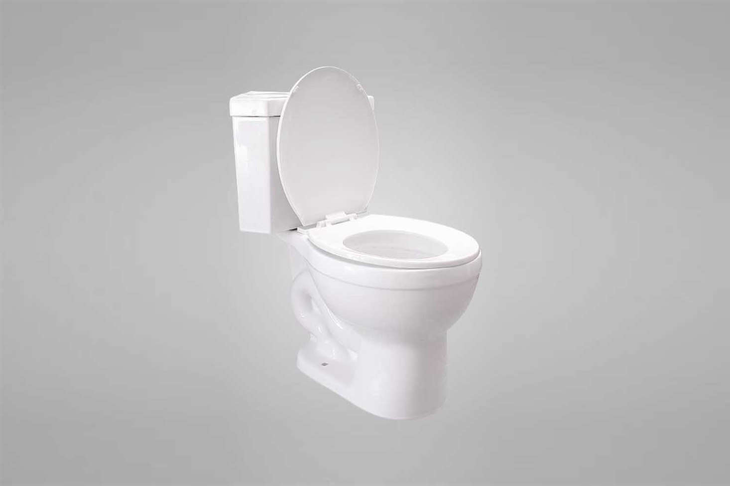 The Lawen Dual Flush Two-Piece Corner Toilet is $9 at Magnus Home Products.