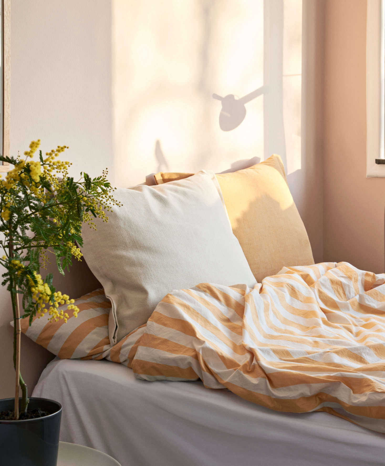 The Ete Collection in warm yellow.