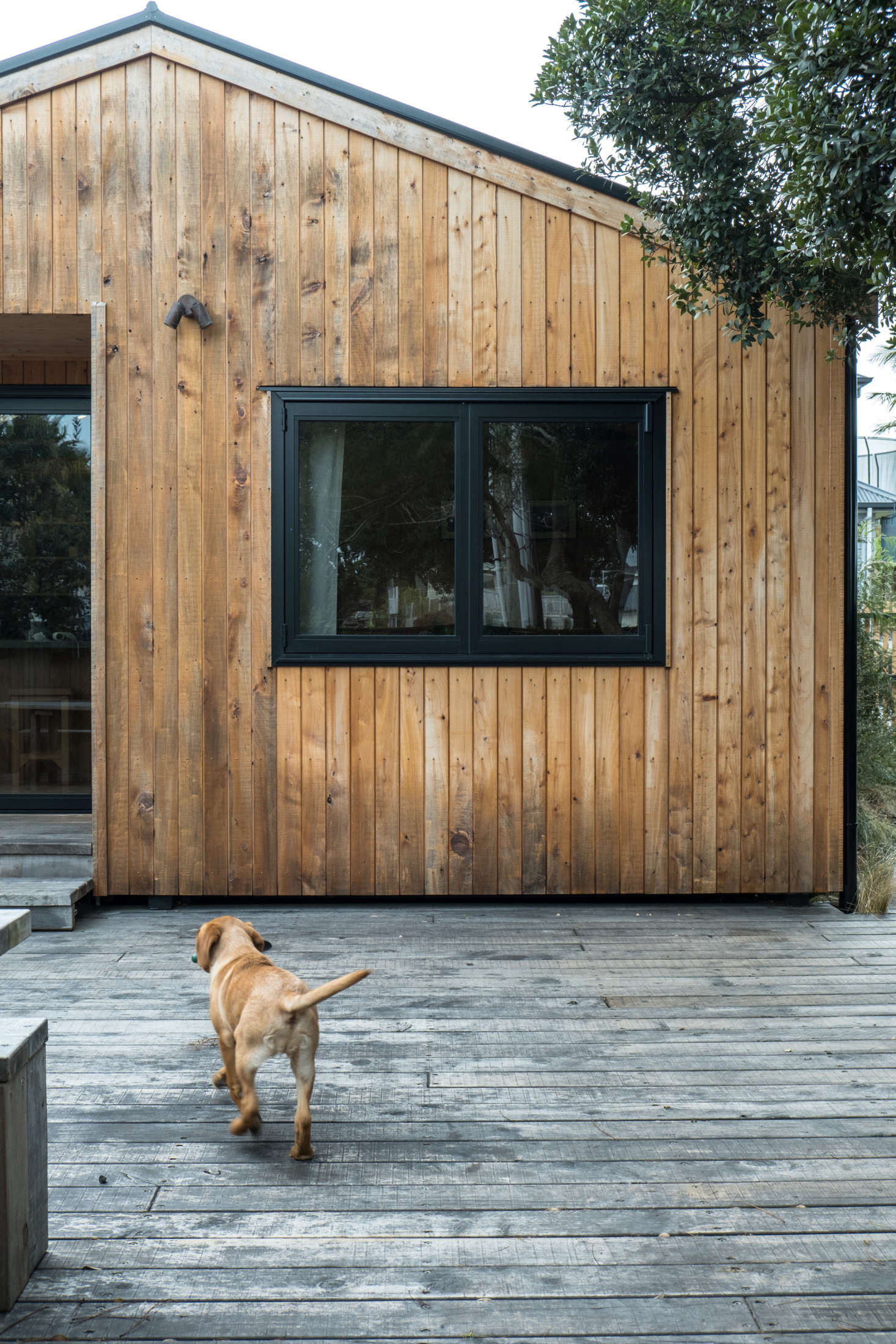The walkway leads to a wide front deck. Powder-coated black aluminum framing was introduced outside and in. To install the house’s vertical shiplap, George and Will worked alongside their “mate Pablo, who is a qualified builder.”