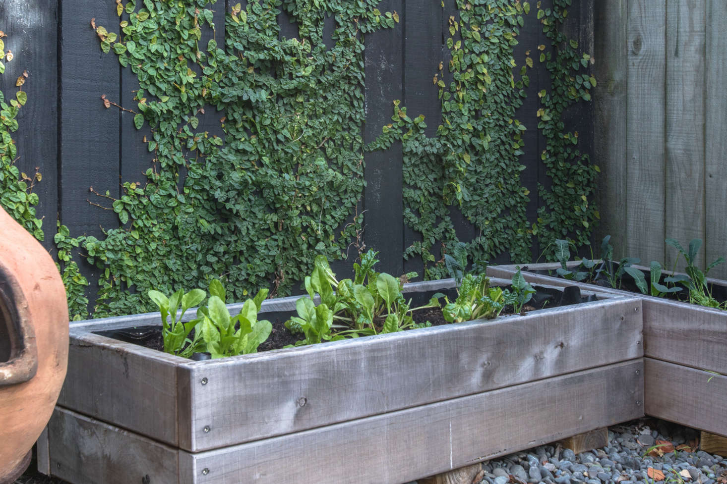 George and Will built the planters that line the deck for Hannah, who is the resident gardener.