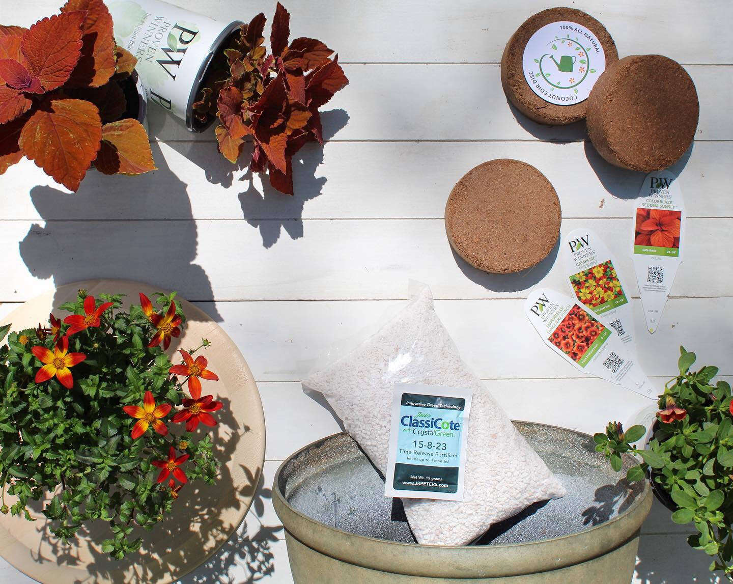 Seasonal plants, soil, plant food, a container, and care instructions are all included in the package.