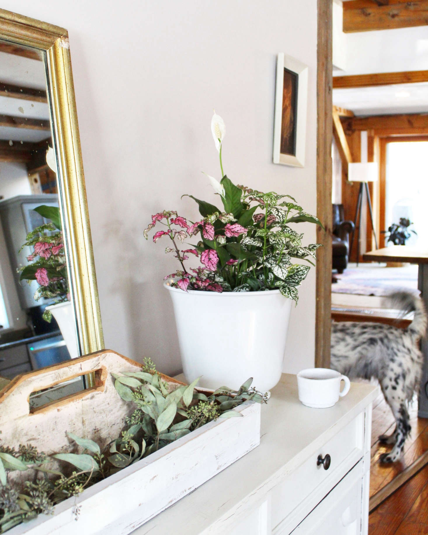 Plant Package includes everything you need to create a container garden at home.