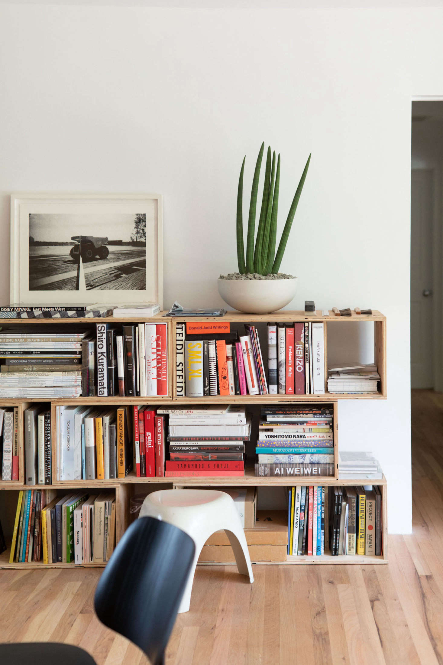 A plywood bookcase filled with art books.