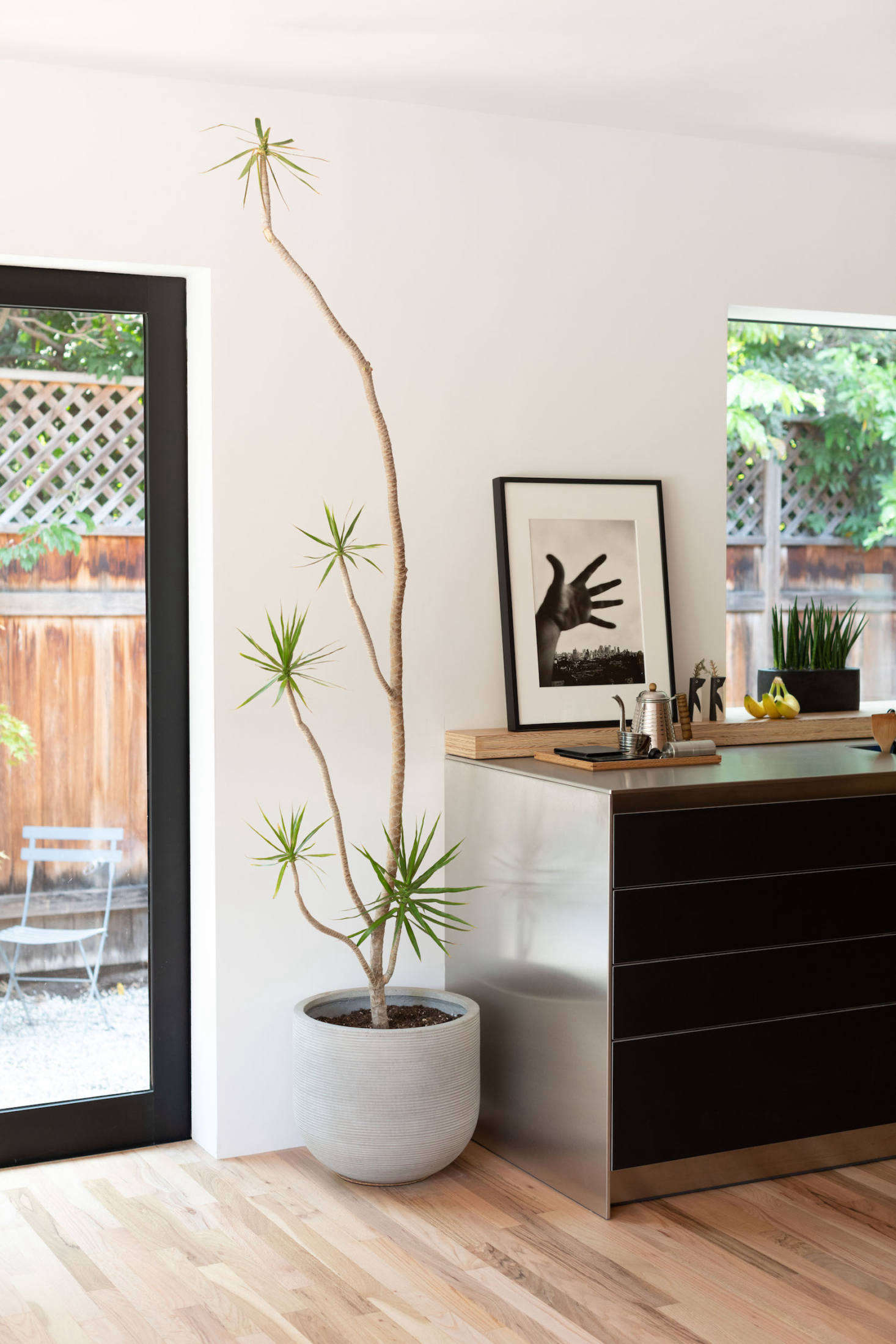 A Draecina Marginata, a low-maintenance houseplant, rises sculpturally against the white wall: Yanai used Sherwin-Williams Superwhite. The hand photo is of Tokyo by Daido Moriyama and the penguin vases are by Japanese ceramic artist Makoto Kagoshima.
