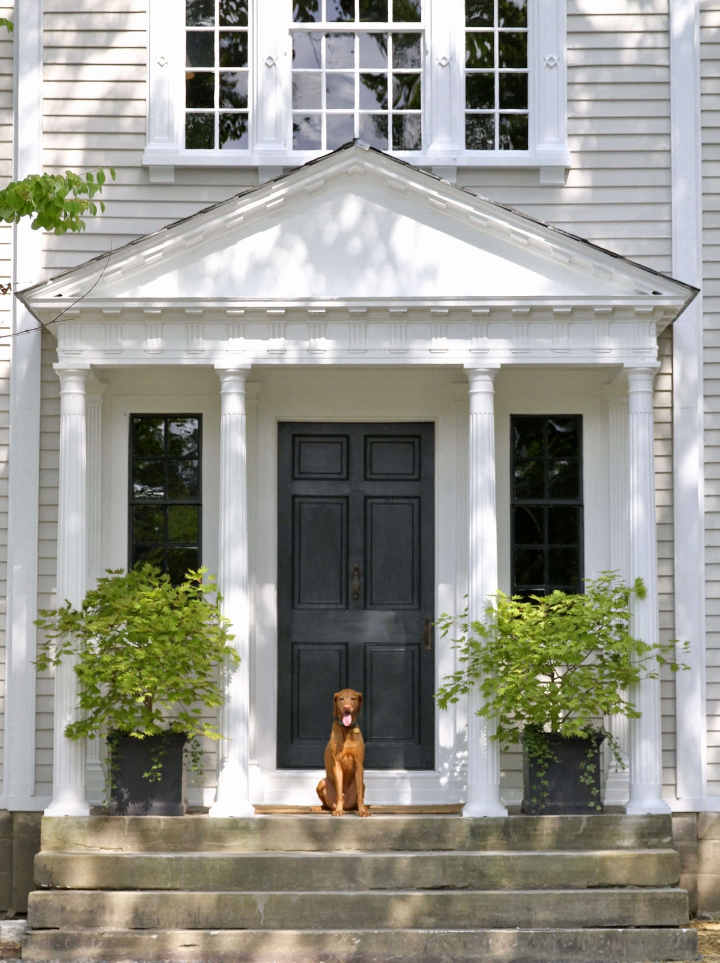 Dutch, Scott and Frank’s photogenic dog, greets guests. The house, located in the village of Richmond in western Massachusetts, was at one point a summer arts school, hosting artists, musicians, and composers like Leonard Bernstein and Aaron Copland.