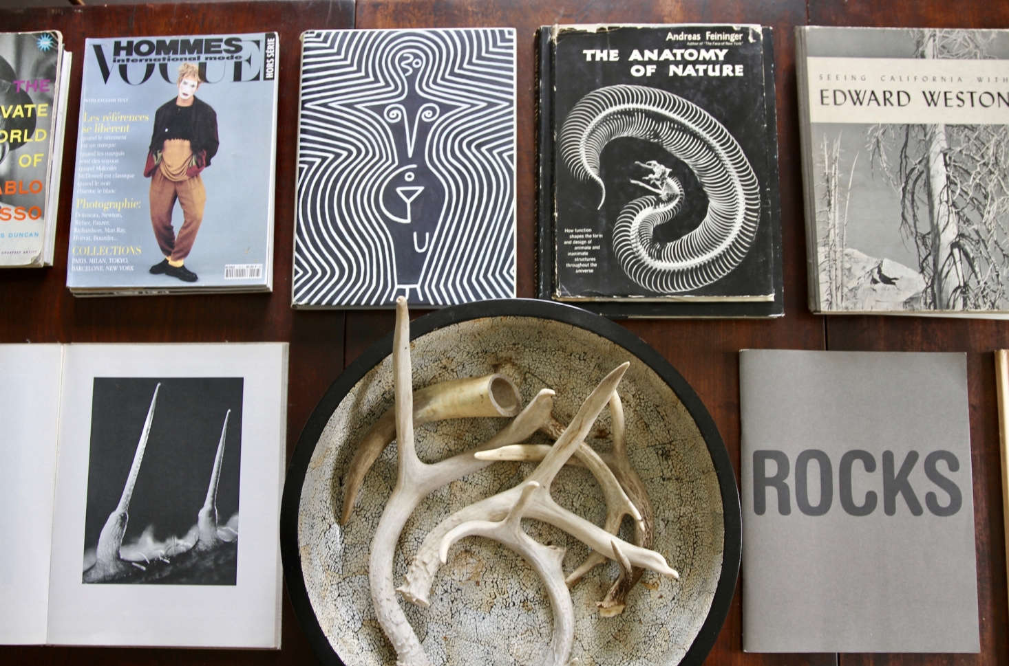 Offerings on the library table reflect their interests in fashion, nature, art, and all things vintage.