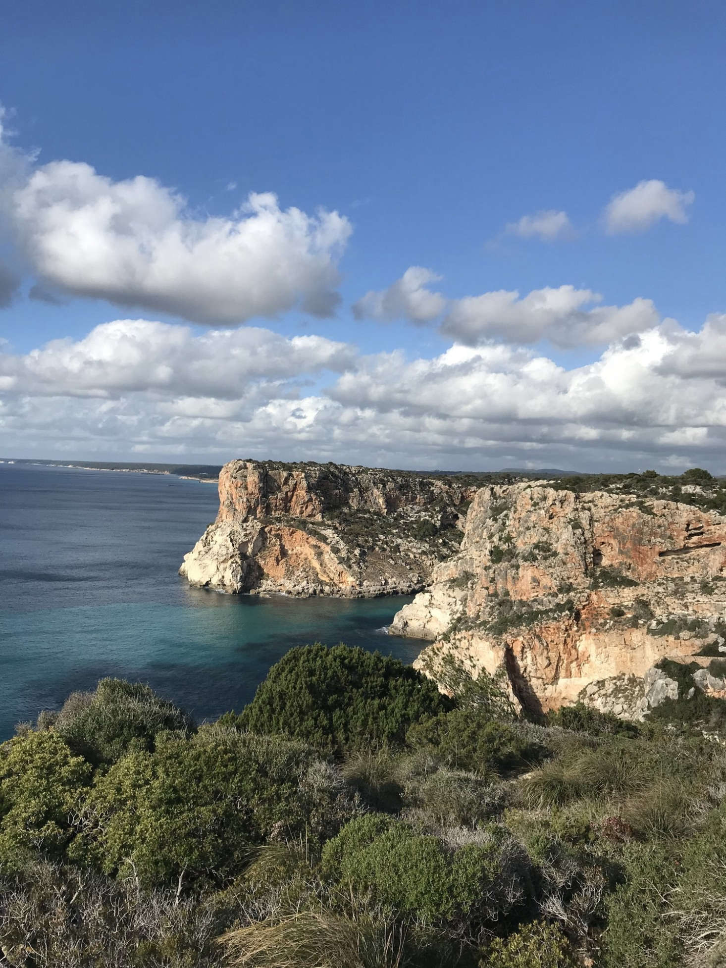 The beaches on the island are all public. Go to Menorca Experimental for reservation details.