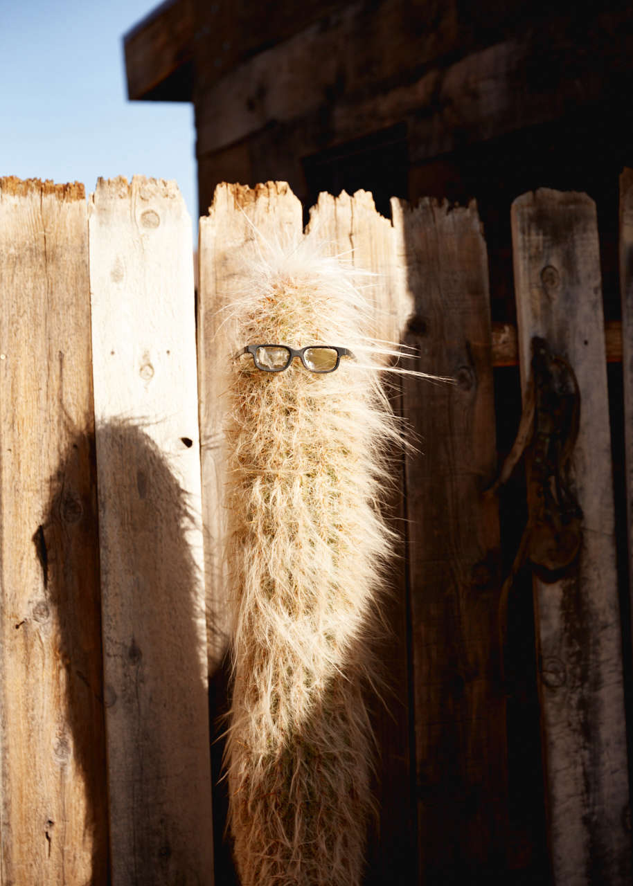 A friendly neighbor.