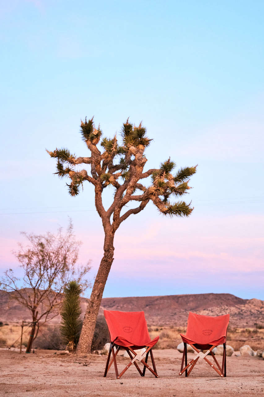 A Joshua tree overlooks camp chairs set out for sunset views.