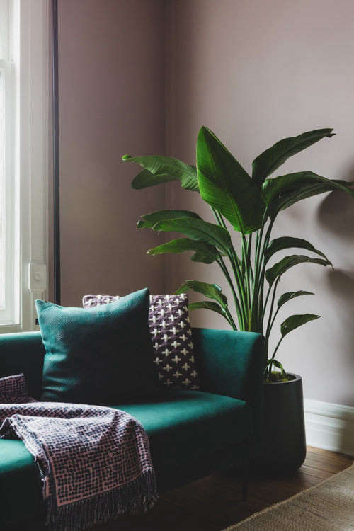 Shapeless Studio architect Andrea Fisk townhouse living room, Brooklyn. Hagan Hinshaw photo.