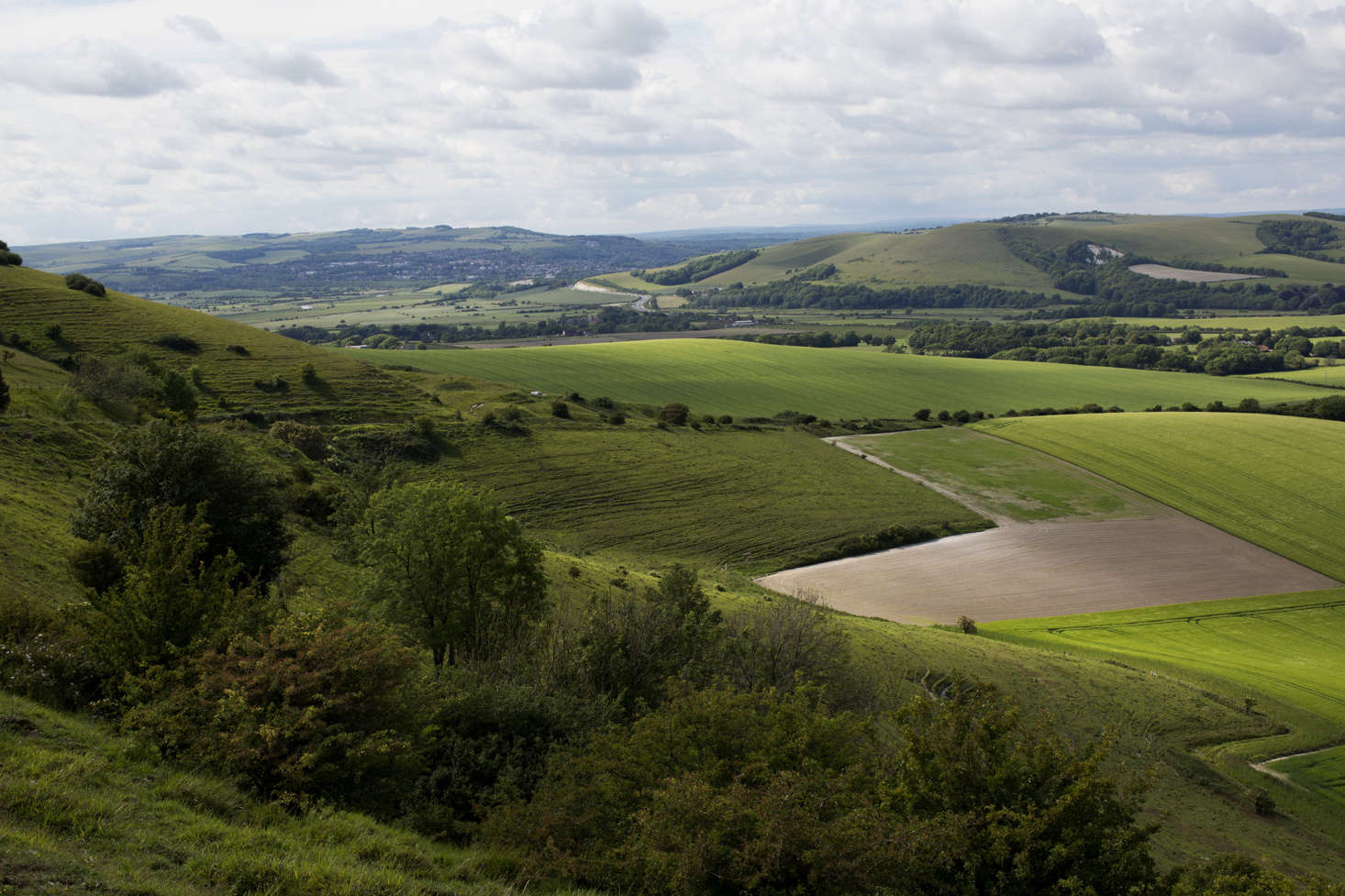 Rolling green land for miles around. Says Cassandra: 