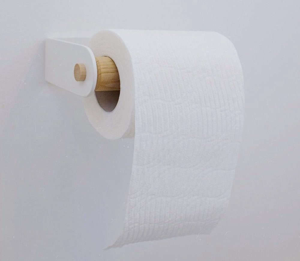 10 Best Modern Metal Toilet Roll Holders